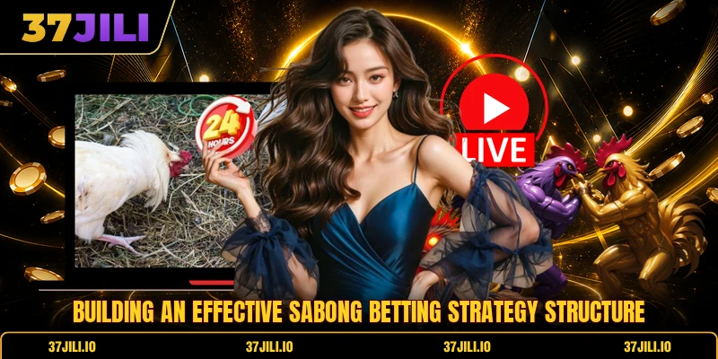 Building an effective sabong betting strategy structure