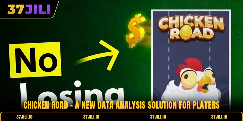 Chicken Road - A New Data Analysis Solution For Players