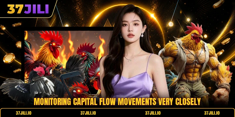 Monitoring capital flow movements very closely