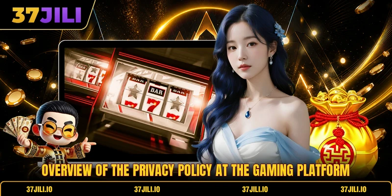 Overview of the privacy policy at the gaming platform