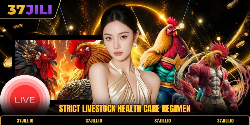 Strict livestock health care regimen